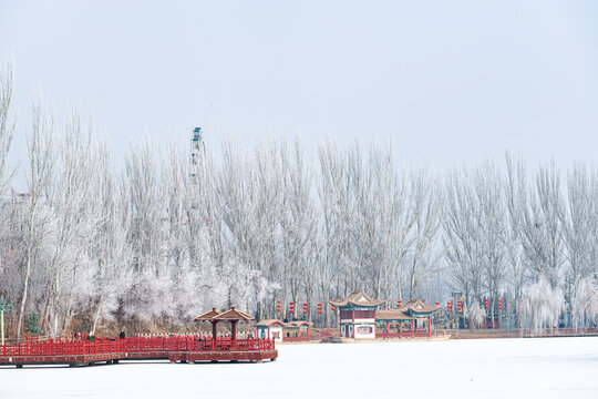 酒泉泉湖公园雾凇雪景