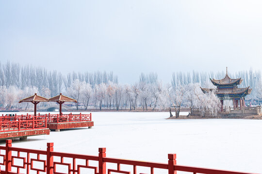 酒泉泉湖公园雾凇雪景