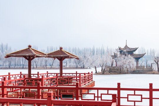 酒泉泉湖公园雾凇雪景