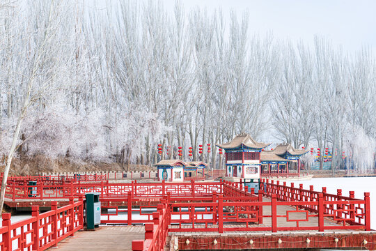 酒泉泉湖公园雾凇雪景