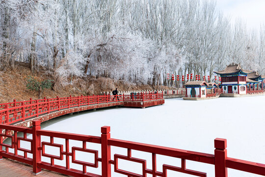 酒泉泉湖公园雾凇雪景