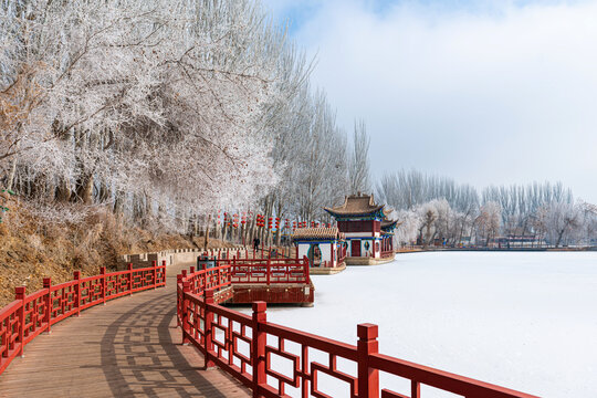 酒泉泉湖公园雾凇雪景