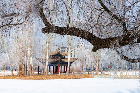 结冰湖泊中小岛古亭雾凇雪景