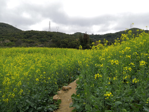 南澳白鹭生态公园