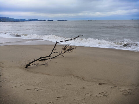 海边风景