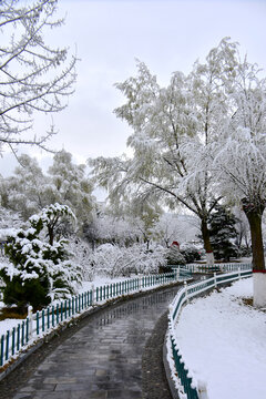 公园雪景