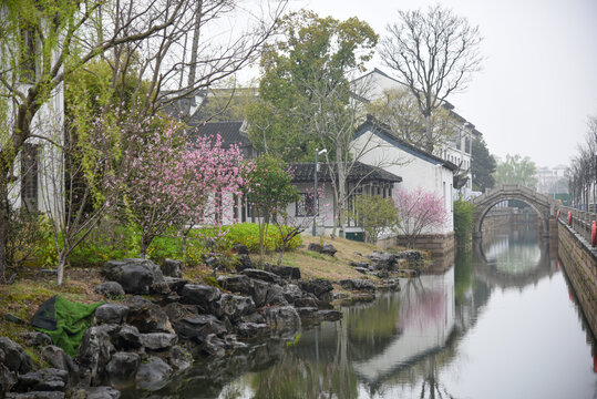 苏州桃花坞春季江南水乡风光