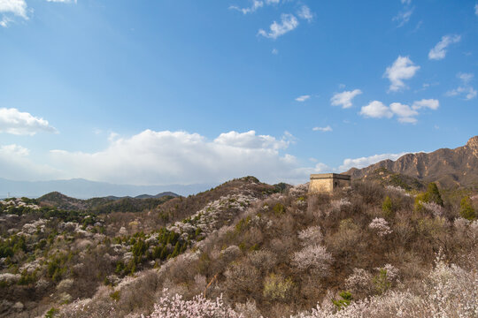 北京八达岭公园