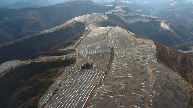 苹果园全景