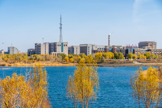 额济纳旗居延海公园