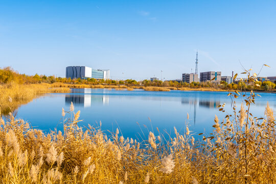 额济纳居延海公园