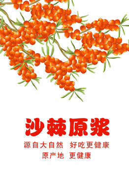 沙棘原漿