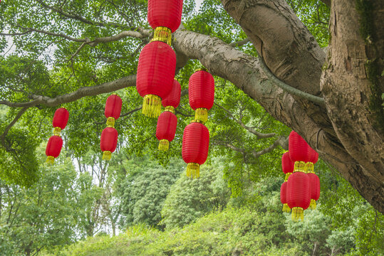 喜庆红灯笼节日气氛