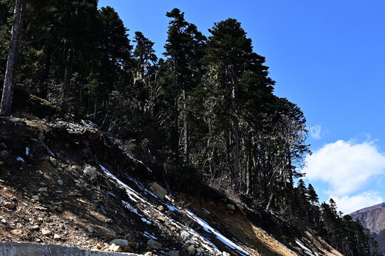 高原雪山