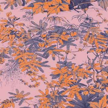 粉底橘紅色樹葉花