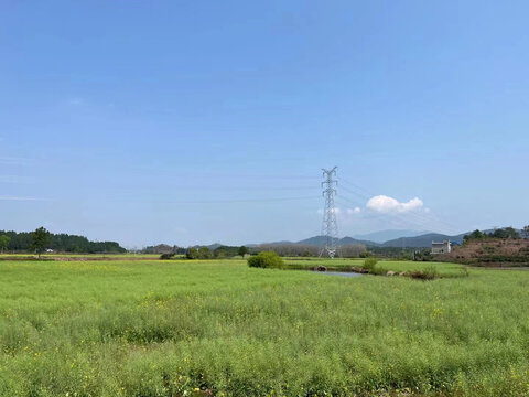 广阔新农村田园景象特写