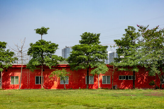 红房子绿草地