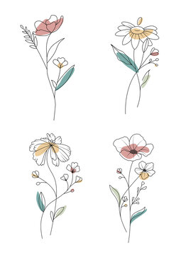 花朵插畫