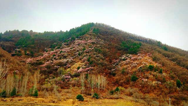 彩色山坡