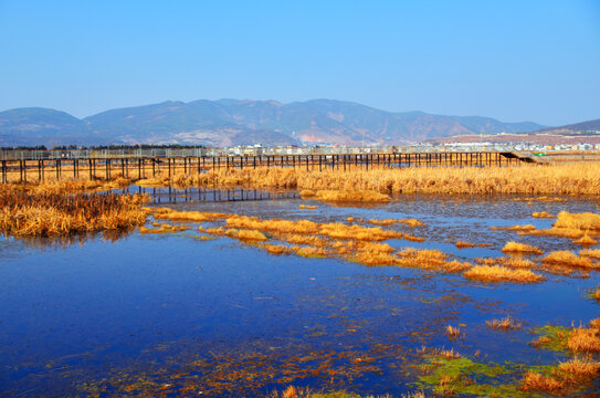 会泽湿地公园