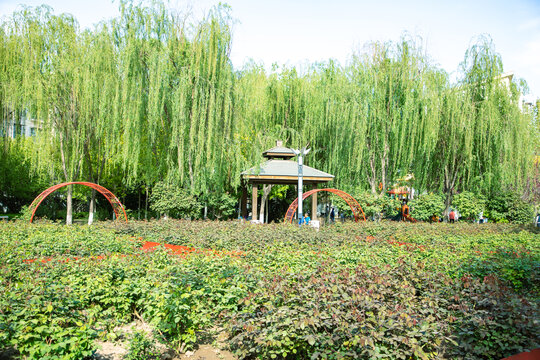 園林景觀