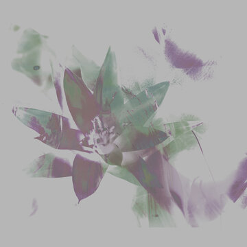 灰底綠紫色樹葉花