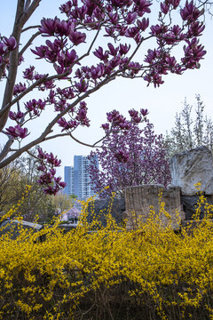 北京国际雕塑公园