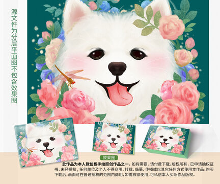 可愛卡通薩摩耶