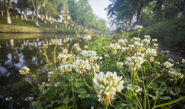 城市公园河流景观