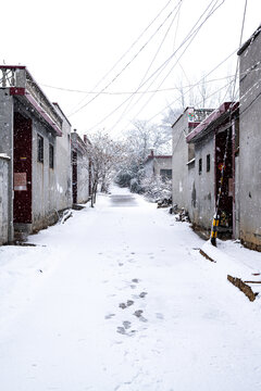 乡村雪景