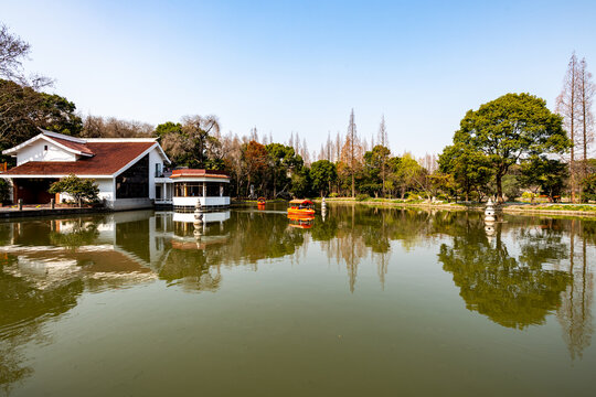 上海杨浦公园景观