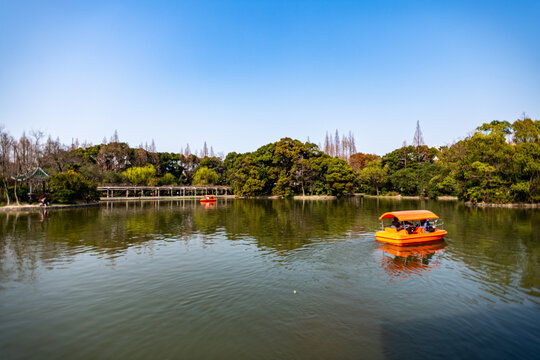 上海杨浦公园景观