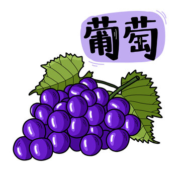 葡萄插畫