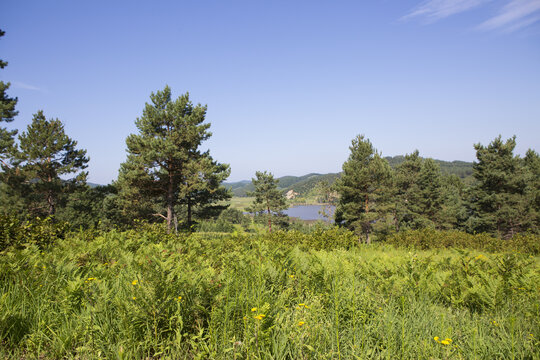 远山湖水草地树林