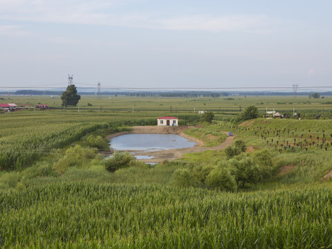 村庄湖水草地蓝天