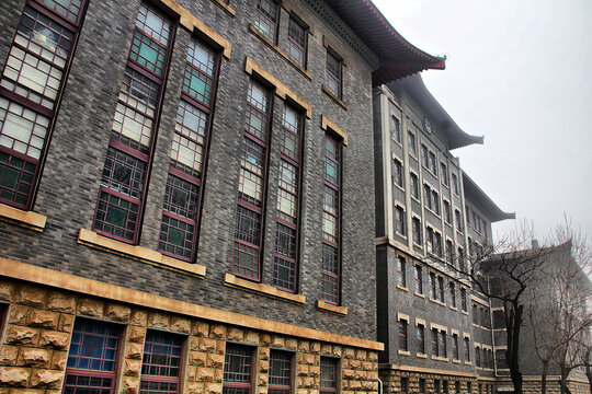 山东大学齐鲁医学院