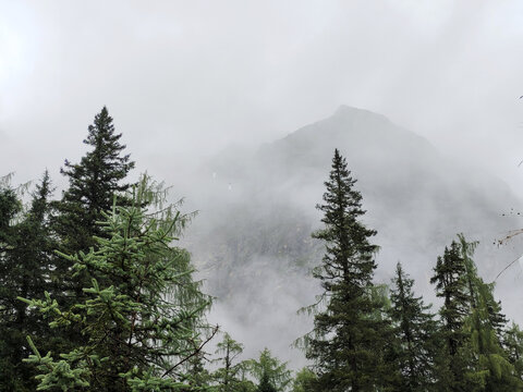 四姑娘山