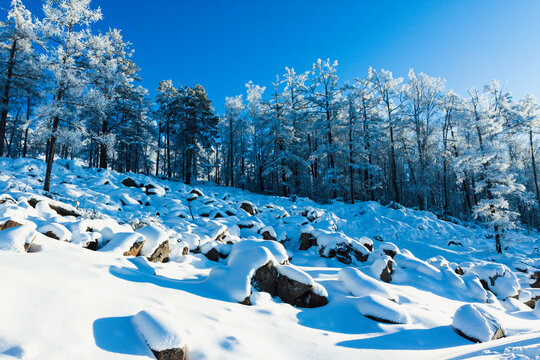 大雪严寒山坡雾凇