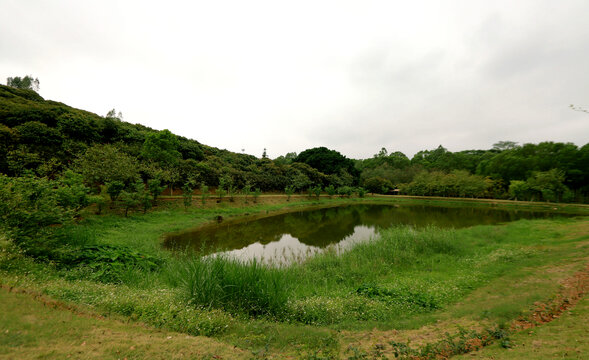 深圳罗田森林公园