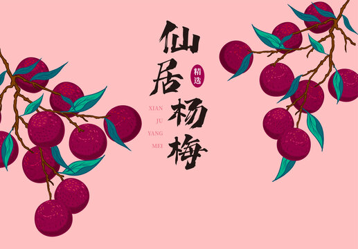 楊梅