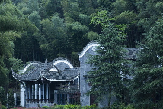 竹林庭院