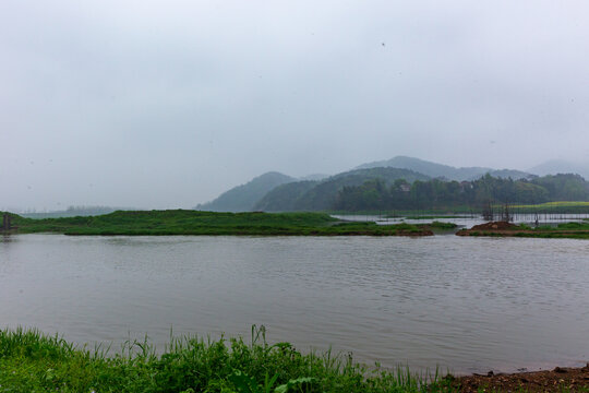 安徽枞阳白荡湖湿地公园风光