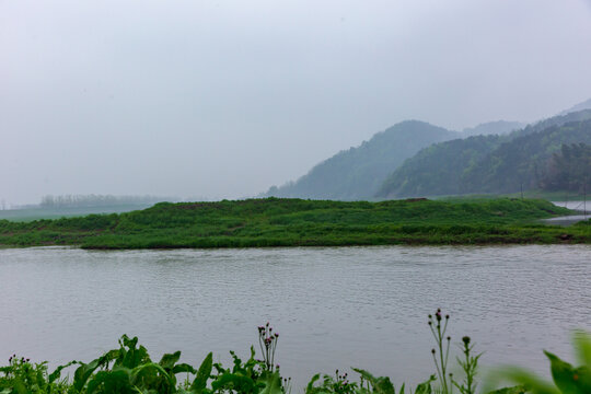 枞阳白荡湖湿地公园