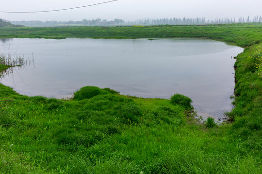 枞阳白荡湖水草肥美生态风光