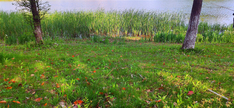 河边青草地