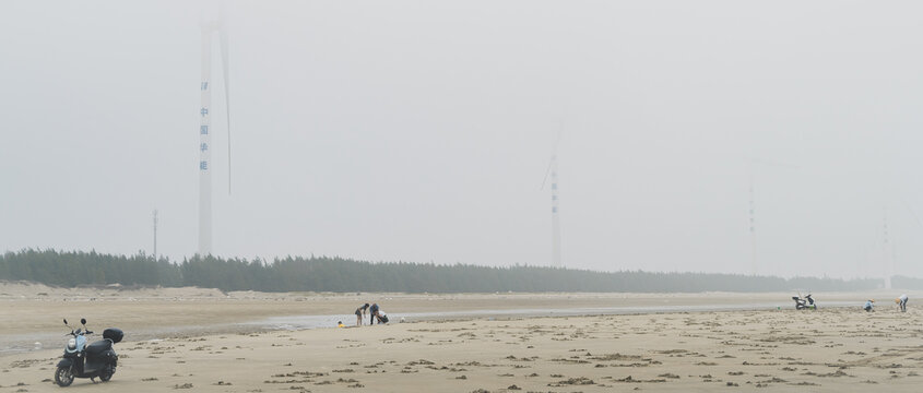 湛江市南三岛