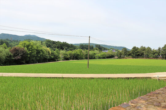 韶山风光