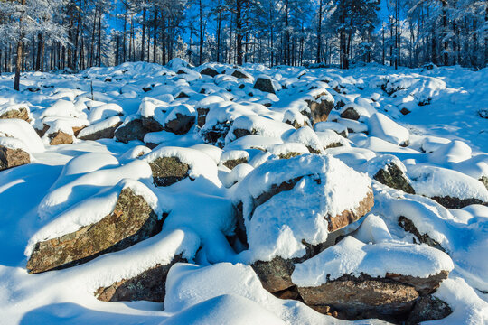 冬天积雪岩石松林雾凇