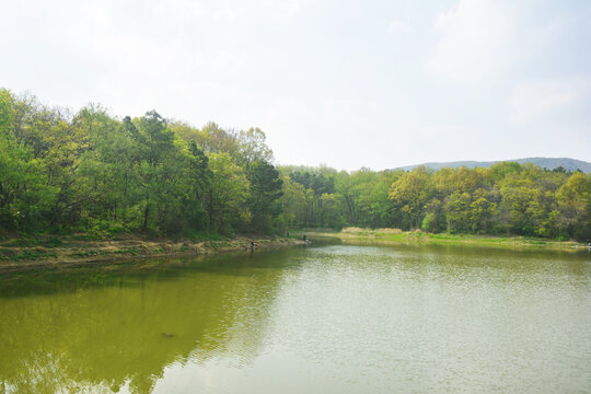 湖泊美景