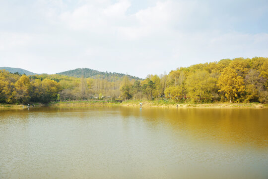 湖泊美景